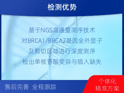 单-单样本-BRCA1基因组织分-适用人群