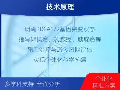 峨眉山-单样本-BRCA1基因组织分-检测流程