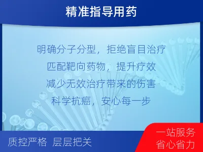 理-单样本-BRCA1基因组织分-报告解读