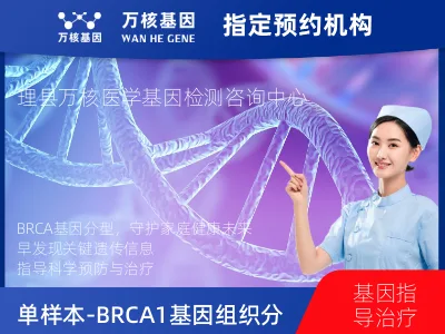 单样本-BRCA1/2基因组织分子分型研究