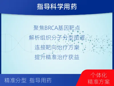 昭觉-单样本-BRCA1基因组织分-检测介绍