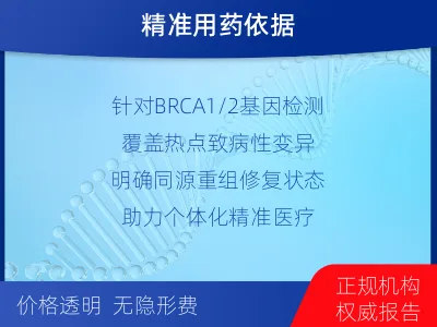 保定-单样本-BRCA1基因血液分-检测流程