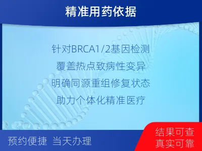 湘东-单样本-BRCA1基因血液分-检测介绍