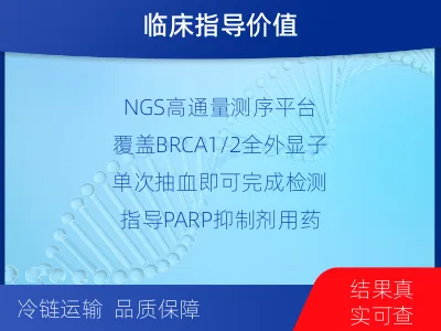 中牟-单样本-BRCA1基因血液分-报告解读