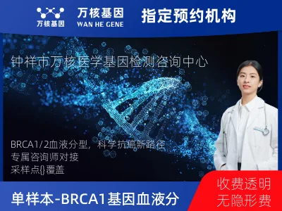 单样本-BRCA1/2基因血液分子分型研究