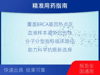 饶平-单样本-BRCA1基因血液分-检测流程