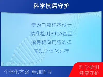 织金-单样本-BRCA1基因血液分-报告解读