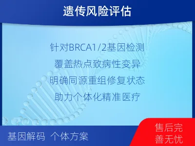 镇雄-单样本-BRCA1基因血液分-适用人群