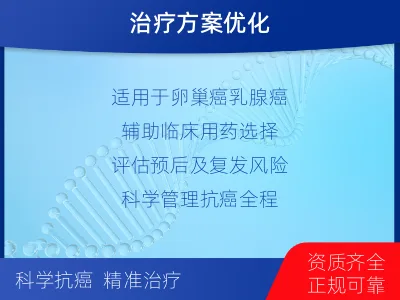 南涧-单样本-BRCA1基因血液分-适用人群
