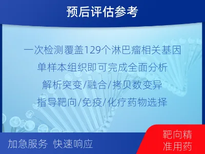 晋州-单样本-淋巴瘤组织基因检测-检测流程