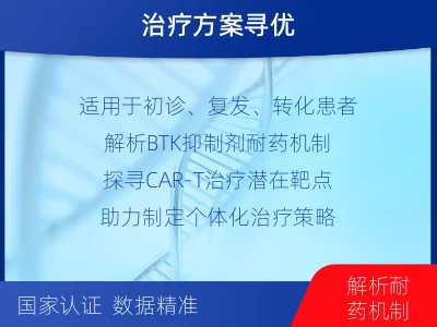 故城-单样本-淋巴瘤组织基因检测-报告解读