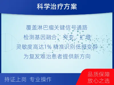 深州-单样本-淋巴瘤组织基因检测-检测流程