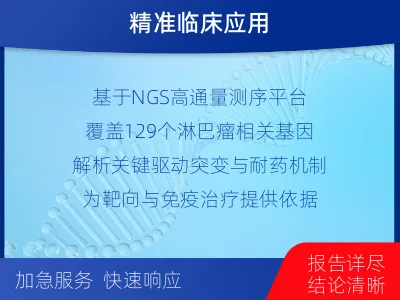 七台河-单样本-淋巴瘤组织基因检测-报告解读