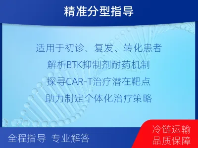 桃山-单样本-淋巴瘤组织基因检测-检测流程