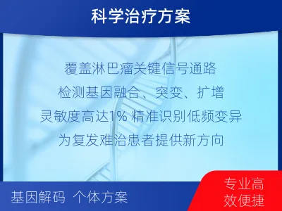 青山湖-单样本-淋巴瘤组织基因检测-检测流程