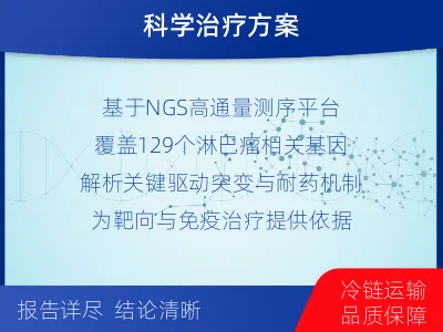 莲花-单样本-淋巴瘤组织基因检测-报告解读