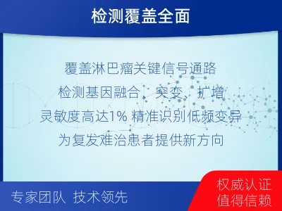 万安-单样本-淋巴瘤组织基因检测-报告解读