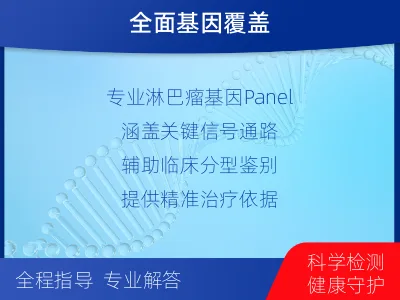 单-单样本-淋巴瘤组织基因检测-适用人群