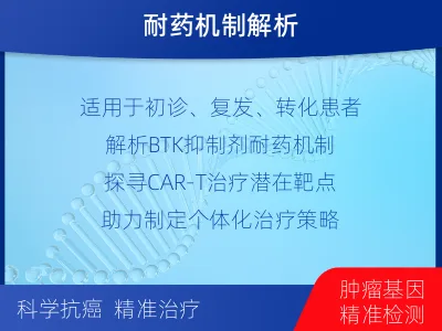 海棠-单样本-淋巴瘤组织基因检测-检测流程