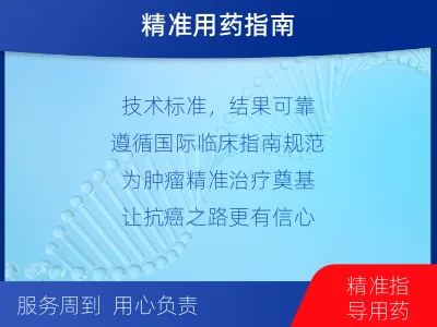 苏尼特右-PD-L1表达检测-检测流程