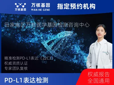 PD-L1表达检测（22C3）