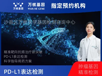 PD-L1表达检测（22C3）