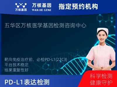 PD-L1表达检测（22C3）