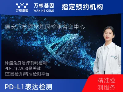 PD-L1表达检测（22C3）