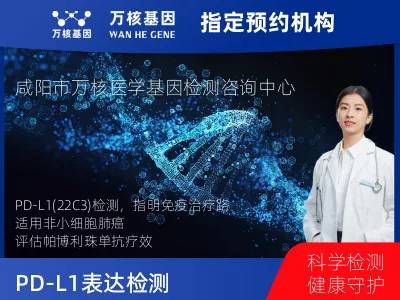 PD-L1表达检测（22C3）