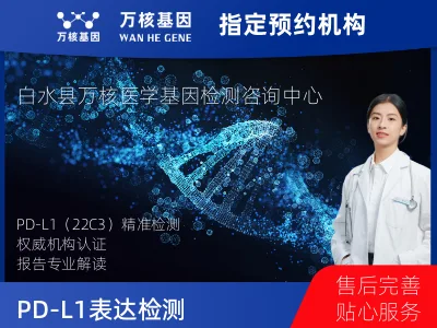 PD-L1表达检测（22C3）