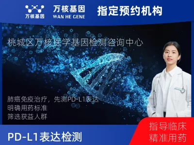 PD-L1表达检测（国产）