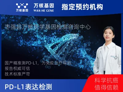 PD-L1表达检测（国产）