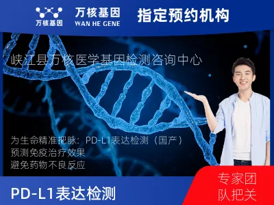 PD-L1表达检测（国产）