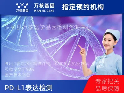 PD-L1表达检测（国产）