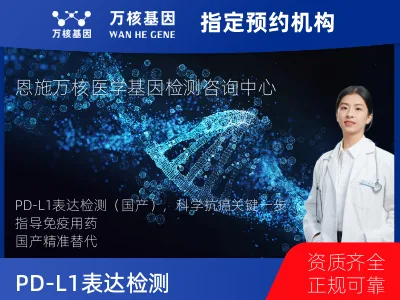 PD-L1表达检测（国产）
