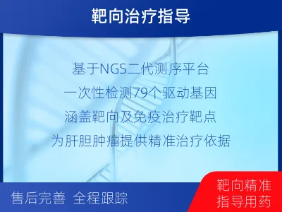 泰安-肝胆肿瘤靶药基因检测-报告解读