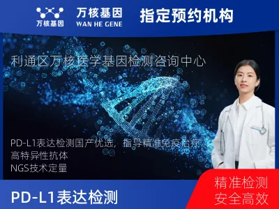 PD-L1表达检测（国产）
