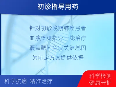 茄子河-肺癌基因检测-报告解读