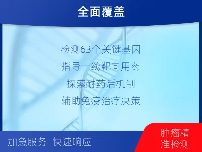 新吴-肺癌基因检测-检测流程