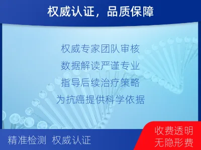 桃山-肺癌基因检测-检测流程