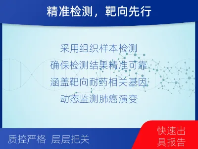 阜城-肺癌基因检测-检测流程