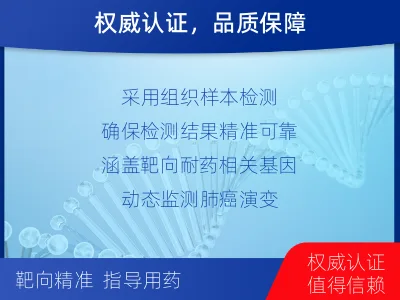 晴隆-肺癌基因检测-检测介绍