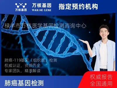 肺癌-119基因（组织版）