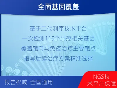 深州-肺癌基因检测-检测流程