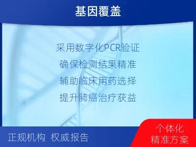 岳麓-肺癌基因检测-检测流程