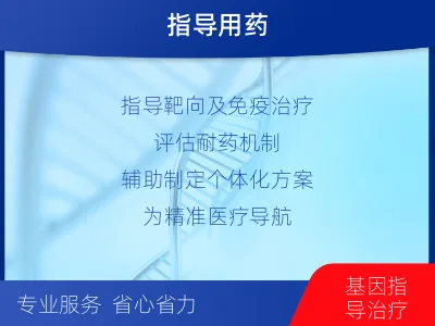 新邵-肺癌基因检测-检测介绍