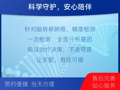 文安-肺癌基因检测-检测流程