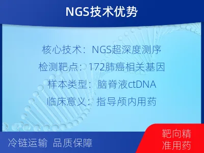 玄武-肺癌基因检测-报告解读