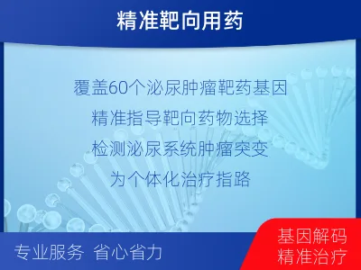 琅琊-泌尿系统肿瘤靶药基因检测-检测介绍