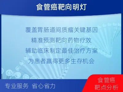 陵川-消化道肿瘤靶药基因检测-检测介绍